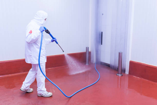 Best Graffiti Removal  in Pratt, KS